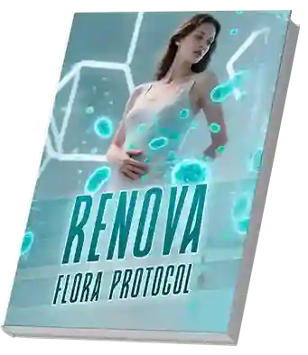 Bonus 4 cover